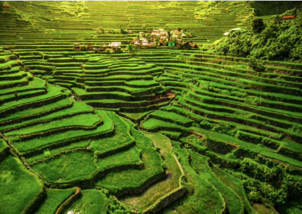 banaue-rice-terraces