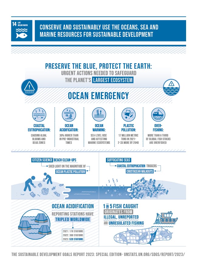 Vibrant coral reefs and marine life in Palawan, highlighting the importance of SDG 14 in Palawan for ocean conservation and sustainable marine ecosystems.