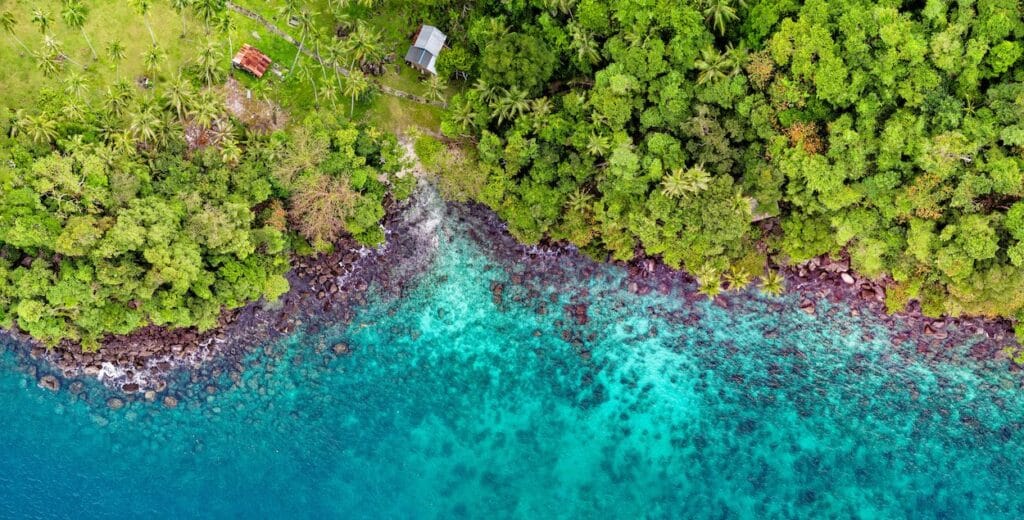 Exploring Tubbataha Reefs Natural Park: A Diver's Paradise