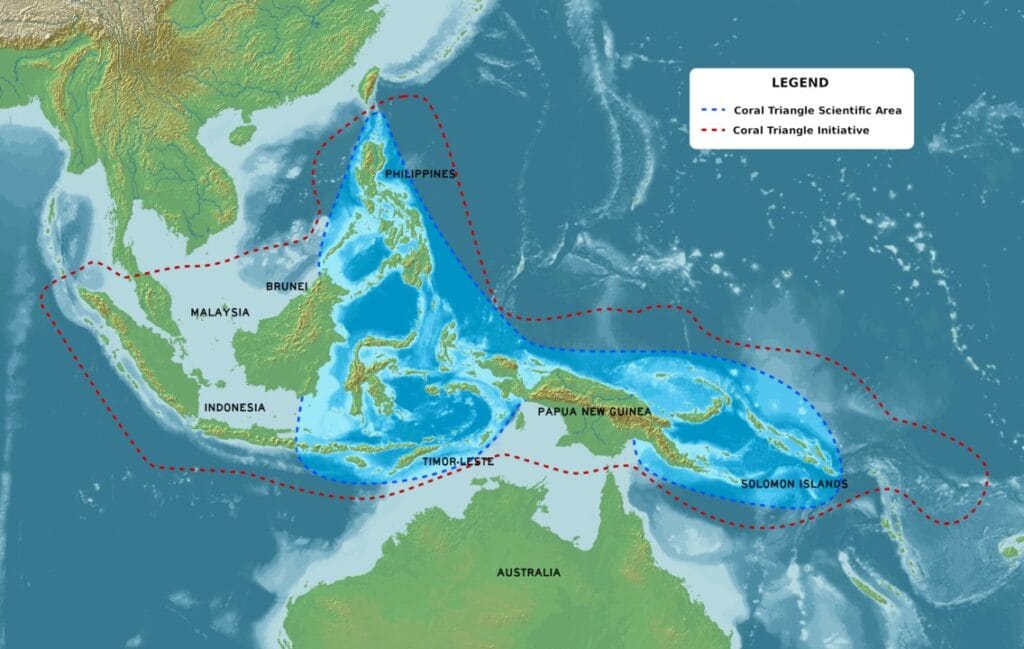 The Coral Triangle