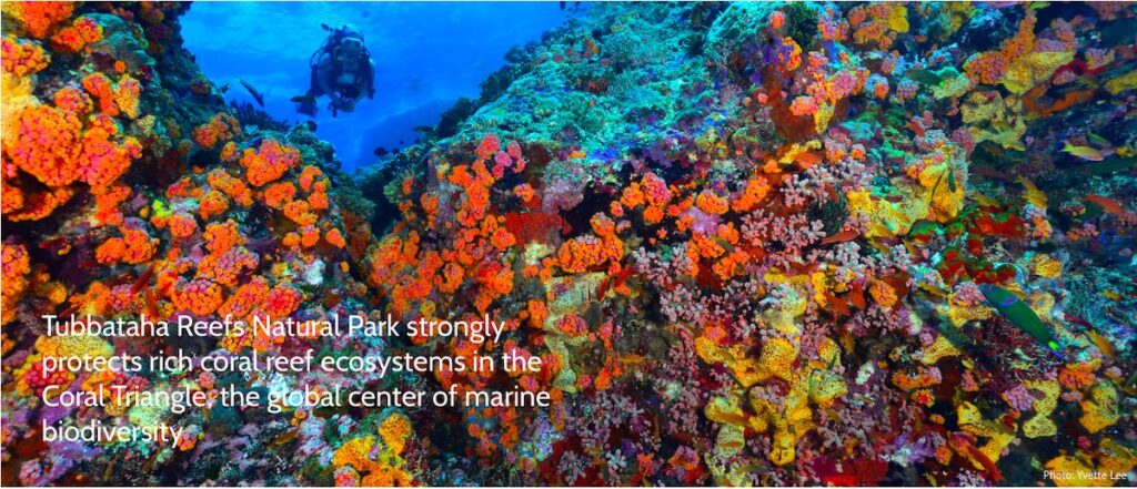 theme 2024 tubbataha reefs natural park