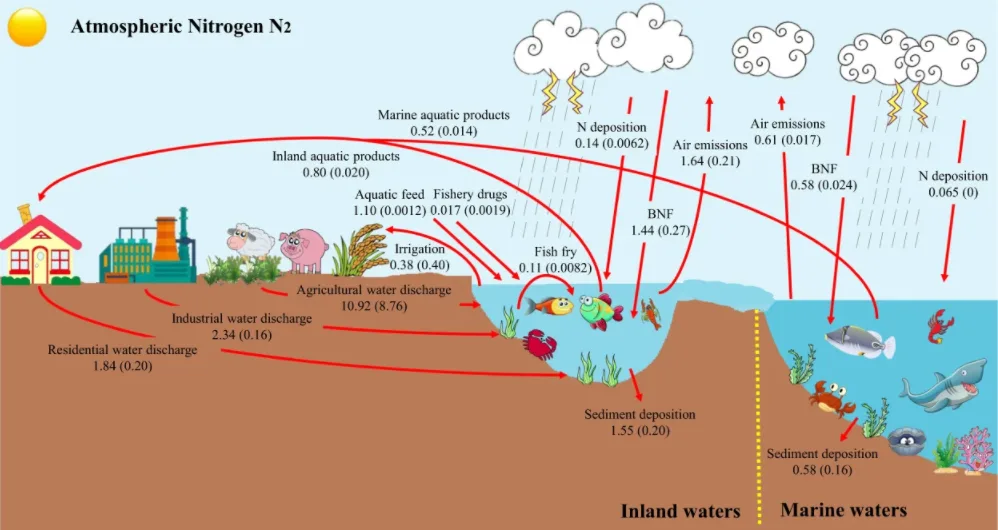 The Nitrogen Cycle in Oceans: Marine Life and Coral Reefs 1 Nitrogen Cycle in Oceans