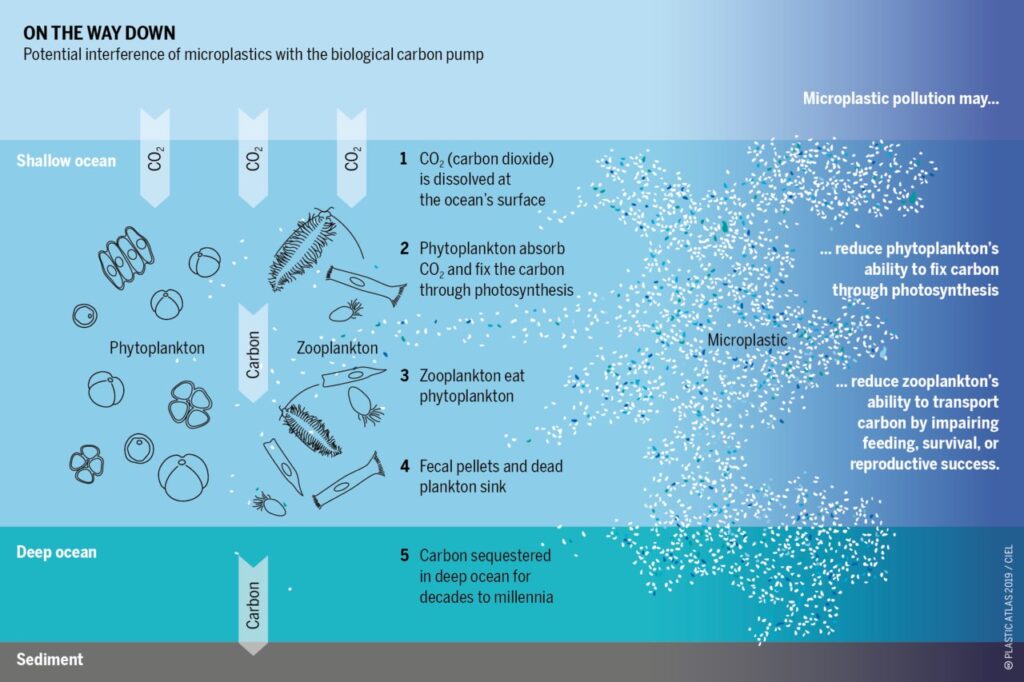 Microplastics and Ocean Pollution: A Growing Threat to Marine Life 1 microplastics and ocean pollution