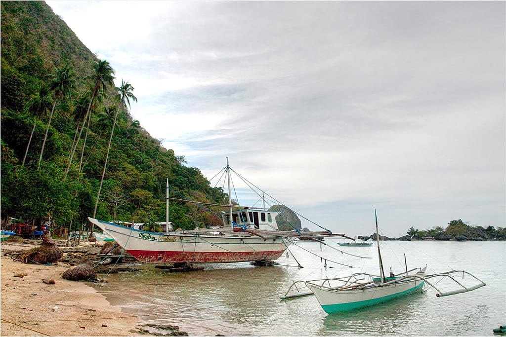 Access to Fisheries best diving palawan