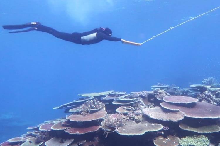 first diving experience Palawan