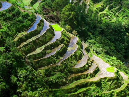 Rice Terraces Aerial view of Banaue Rice Terraces in the Philippines, showcasing lush green rice paddies carved into mountain slopes by the Ifugao people.